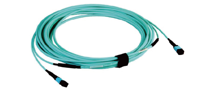 MPO- MPO 主干光缆